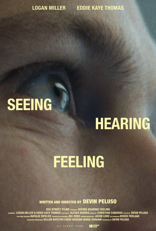 Постер: Seeing Hearing Feeling