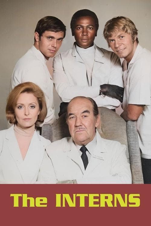 Постер: The Interns