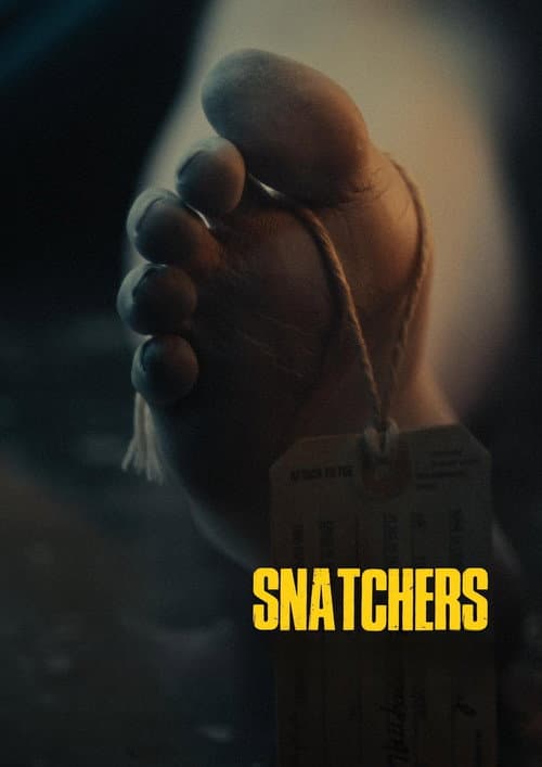Постер: Snatchers
