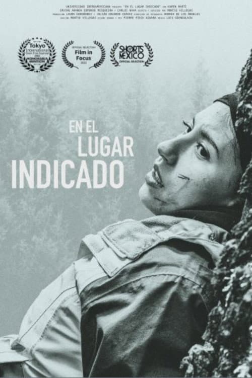 Постер: En el lugar indicado