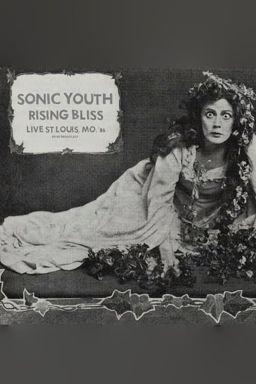 Постер: Sonic Youth: Mississippi Nights, St. Louis