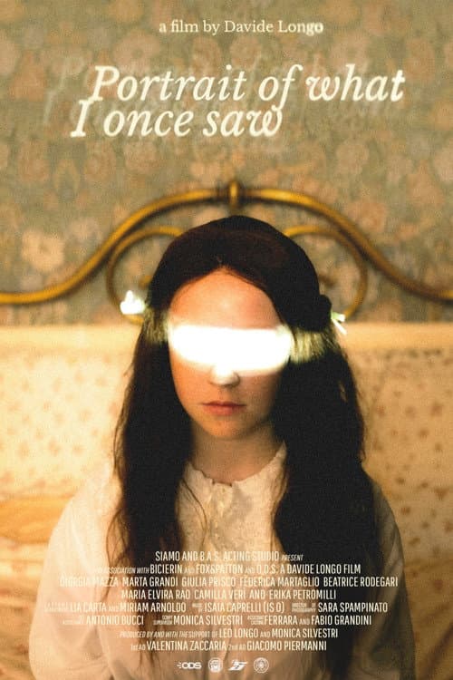 Постер: Portrait Of What I Once Saw