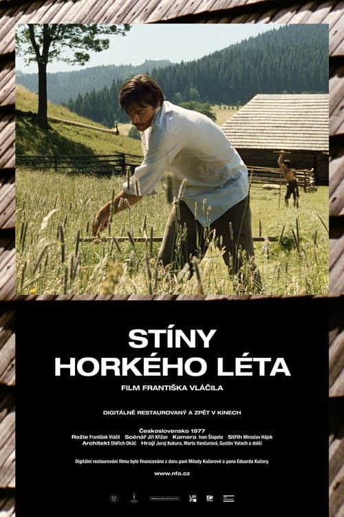 Постер: Stíny horkého léta