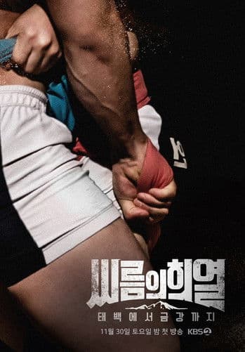 Постер: 씨름의 희열 - 태백에서 금강까지