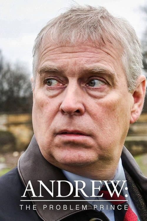 Постер: Andrew: The Problem Prince