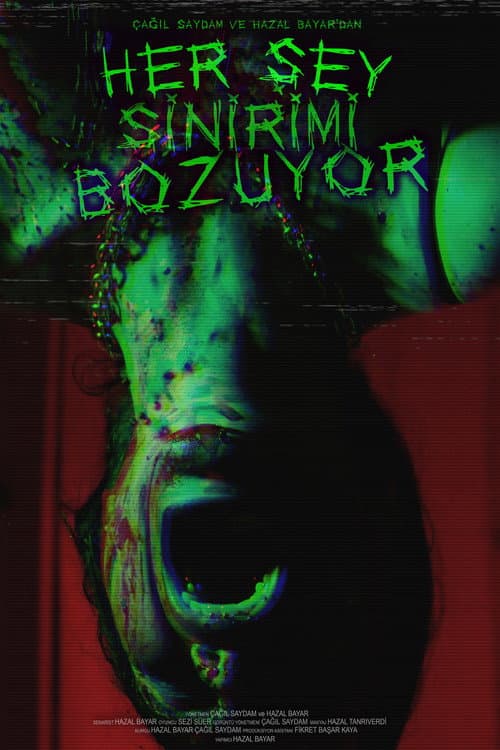 Постер: Her Şey Sinirimi Bozuyor