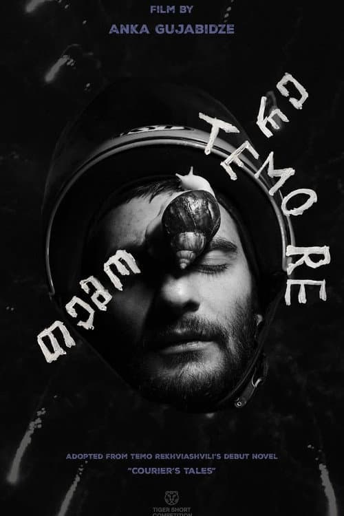 Постер: თემო რე