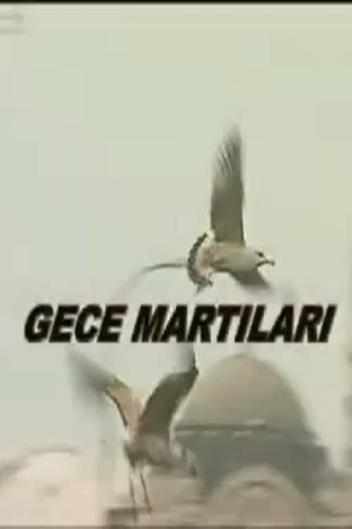 Постер: Gece Martıları