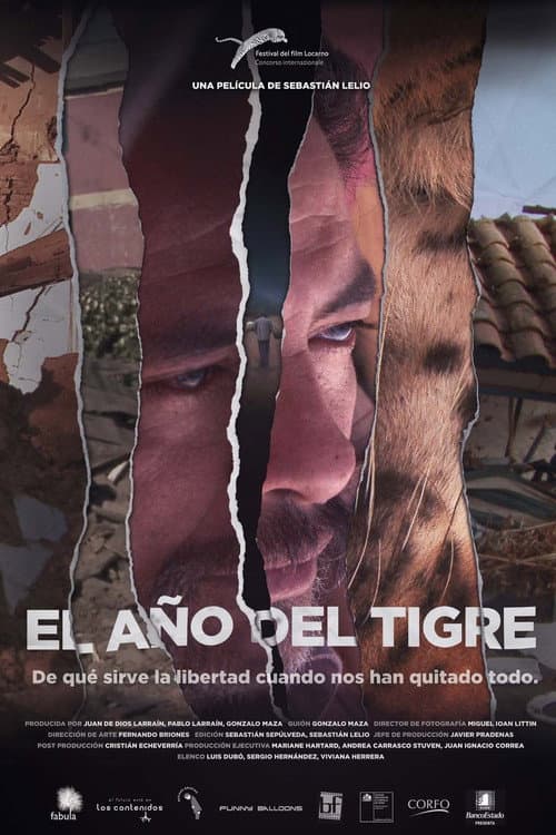 Постер: El año del tigre