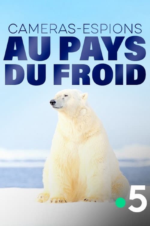 Постер: Caméras-espions au pays du froid