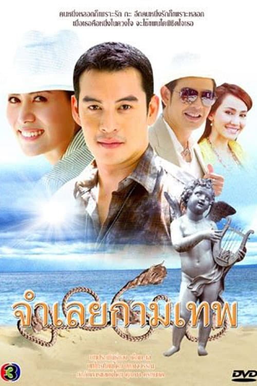 Постер: จำเลยกามเทพ