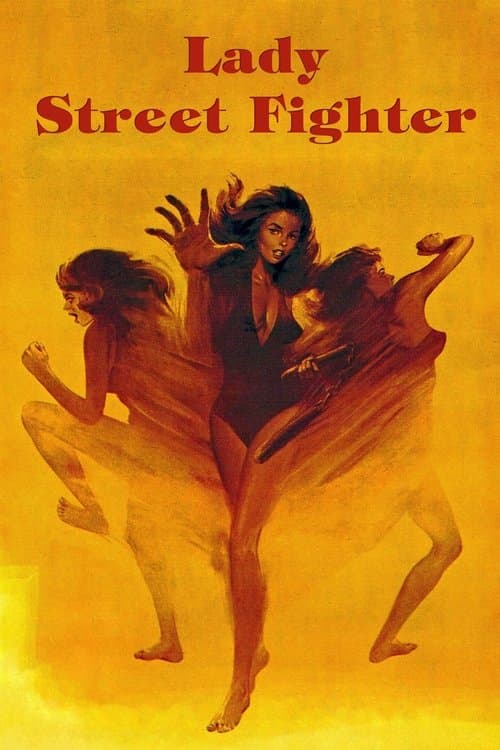 Постер: Lady Street Fighter