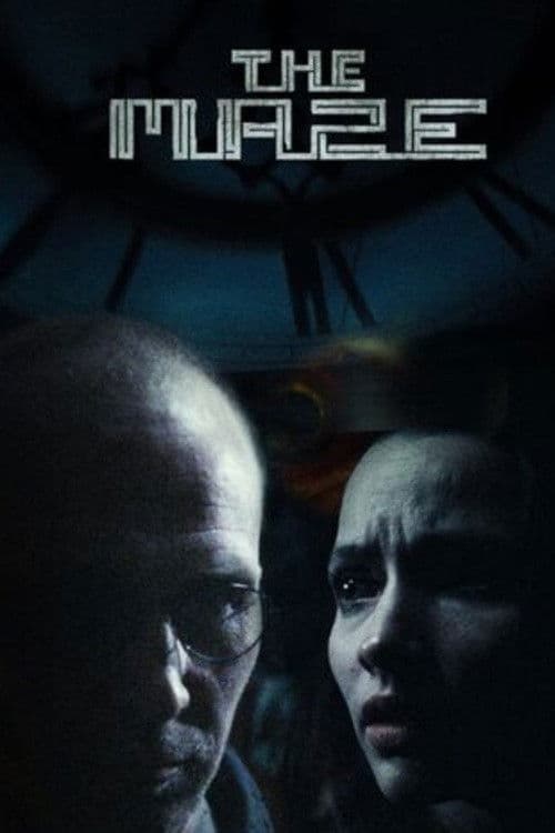 Постер: The Maze