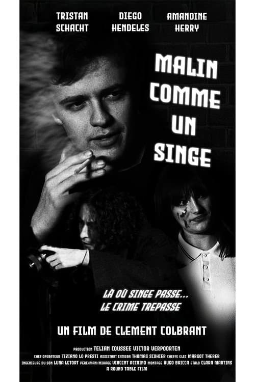 Постер: Malin comme un singe