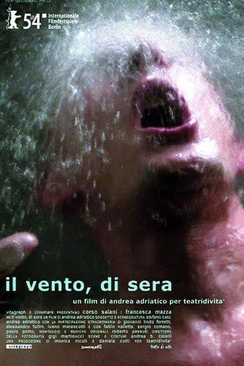 Постер: Il vento, di sera