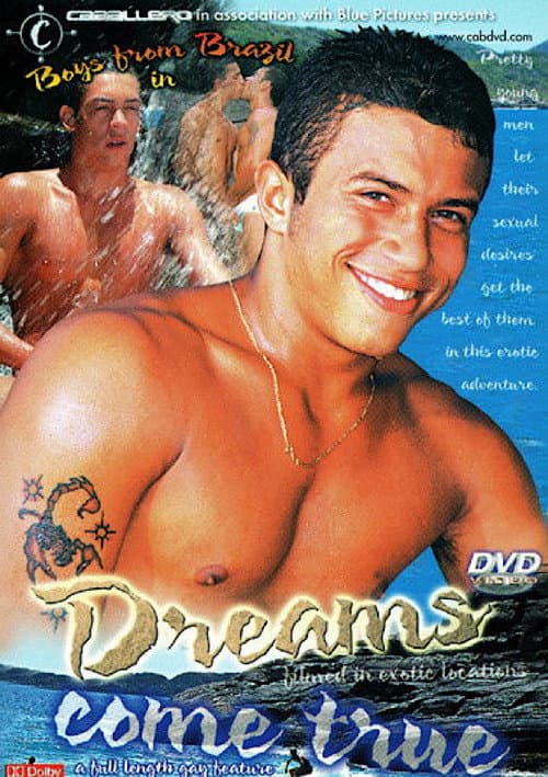 Постер: Dreams Come True