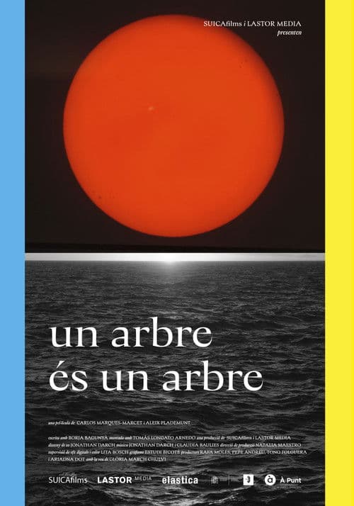 Постер: Un arbre és un arbre