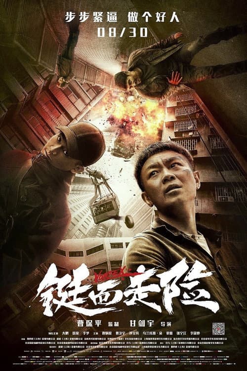 Постер: 铤而走险