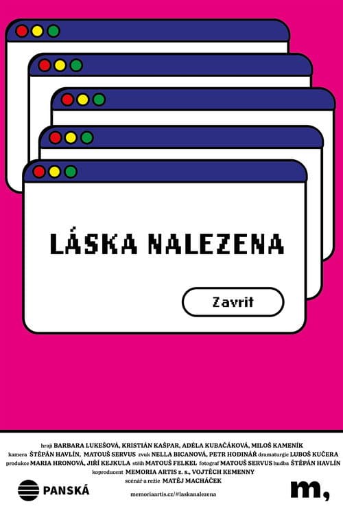 Постер: Láska nalezena