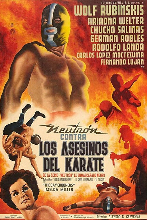 Постер: Los Asesinos del Karate