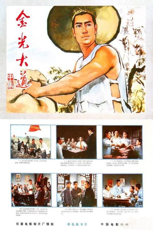 Постер: 金光大道(中集)