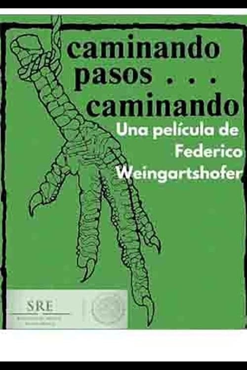 Постер: Caminando pasos... caminando
