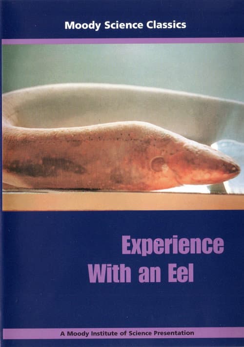 Постер: Experience With an Eel