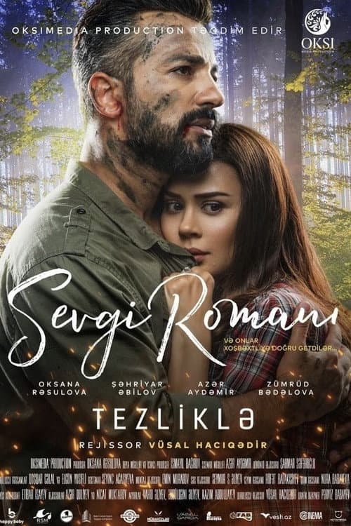 Постер: Sevgi Romanı