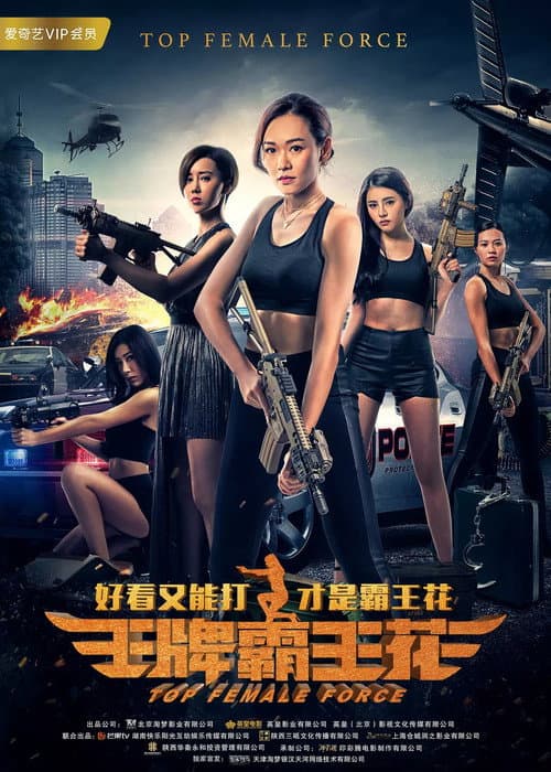Постер: 王牌霸王花