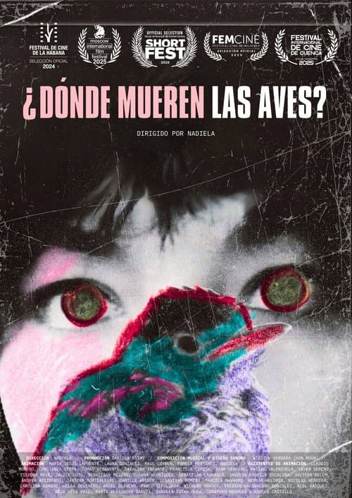 Постер: ¿Dónde mueren las aves?