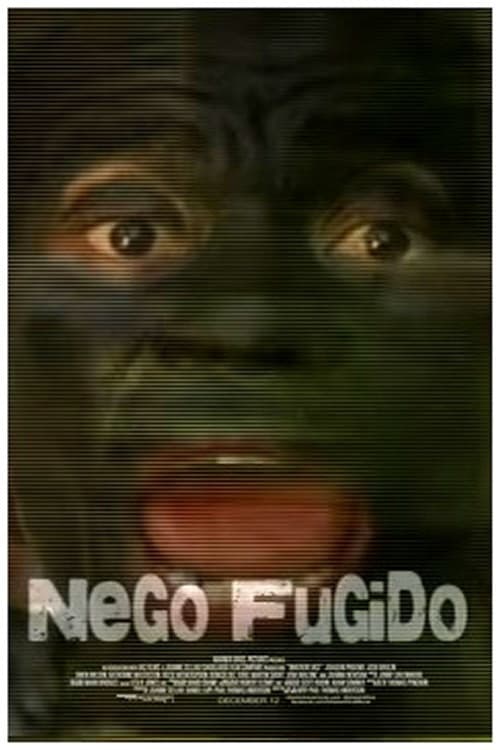 Постер: Nego Fugido