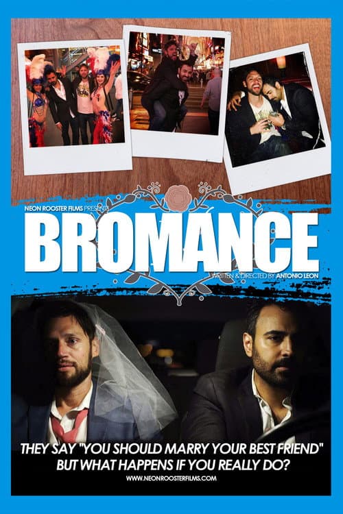 Постер: Bromance