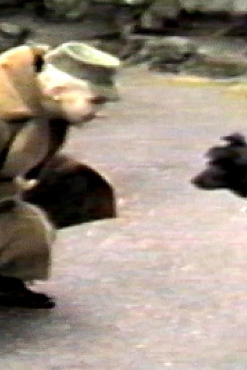 Постер: L'incident « Jones »