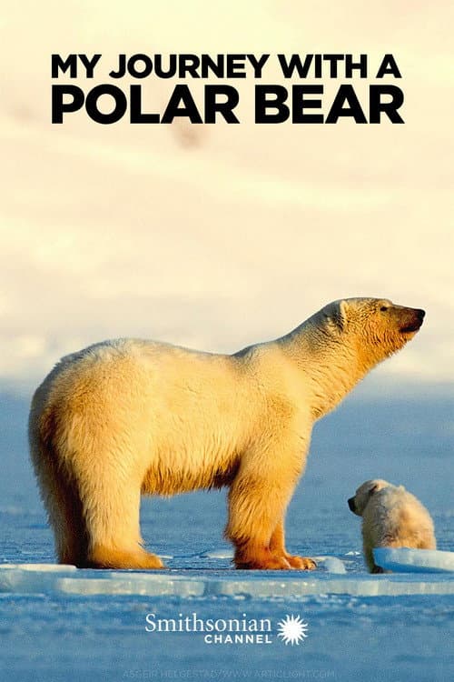 Постер: My Journey with a Polar Bear