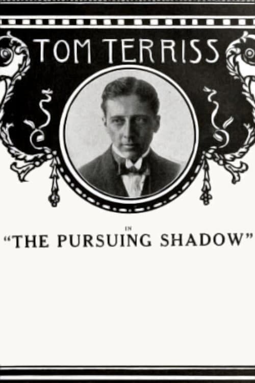 Постер: The Pursuing Shadow