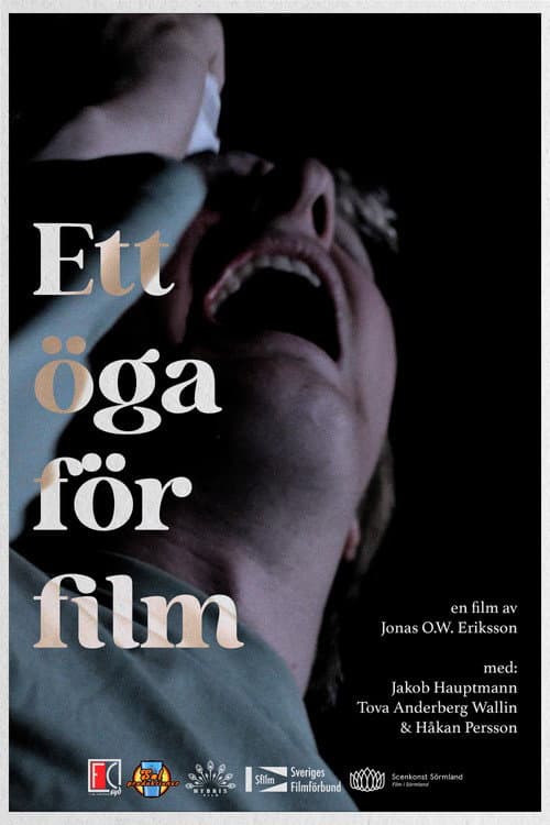 Постер: Ett öga för film