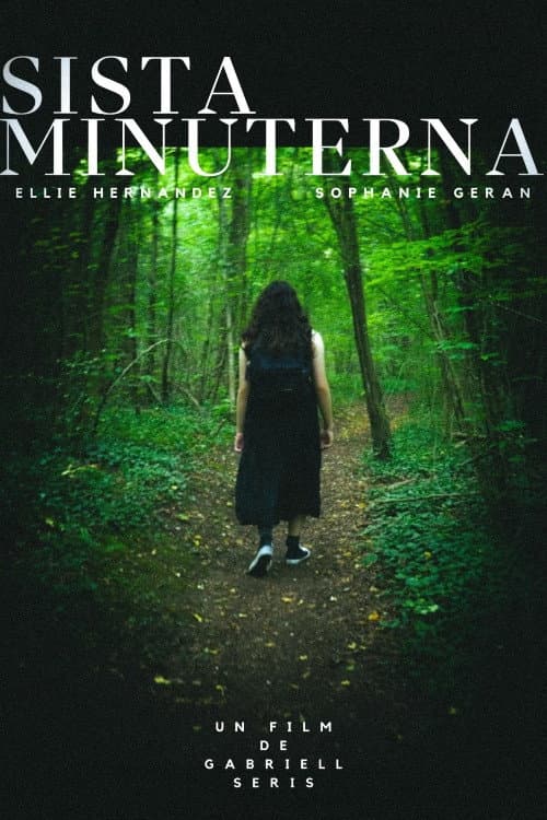 Постер: Sista Minuterna