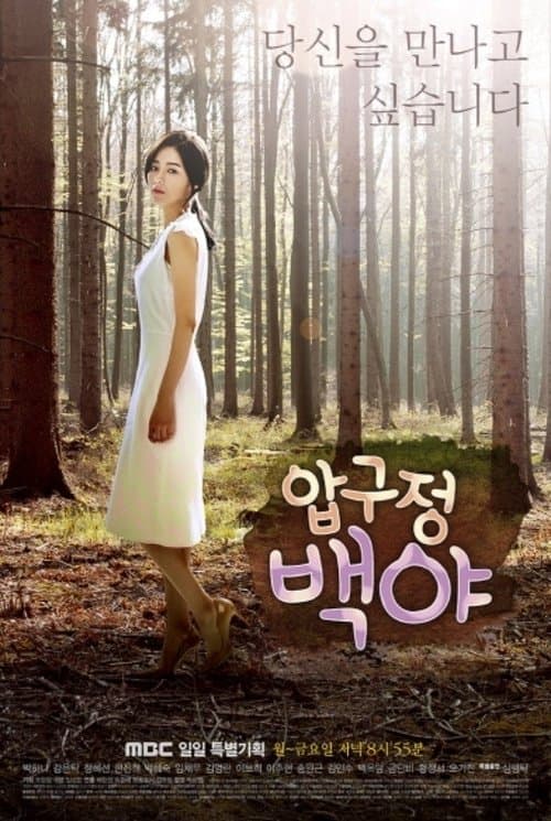 Постер: 압구정 백야