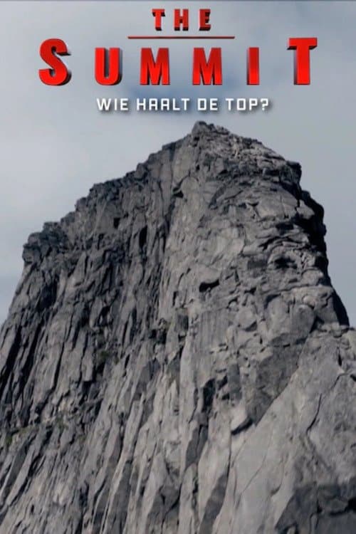 Постер: The Summit