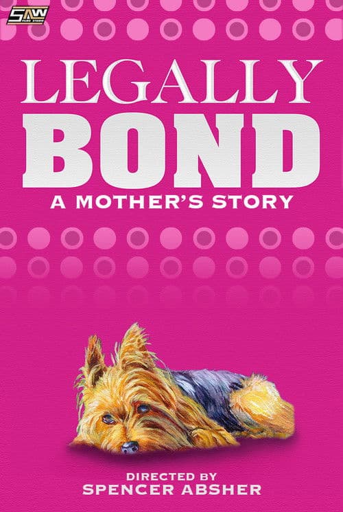 Постер: Legally Bond