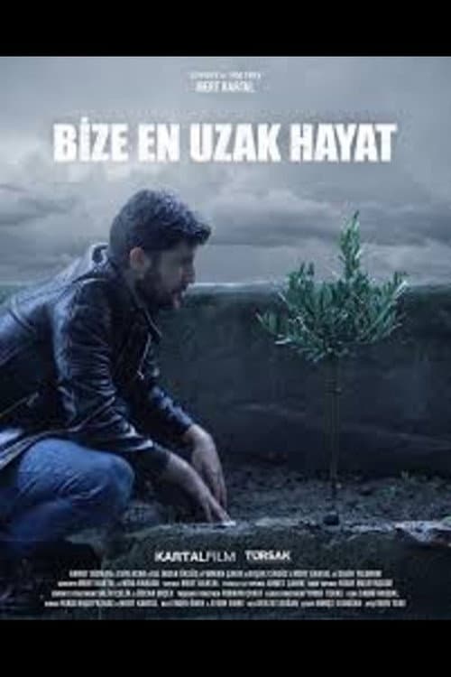 Постер: Bize En Uzak Hayat