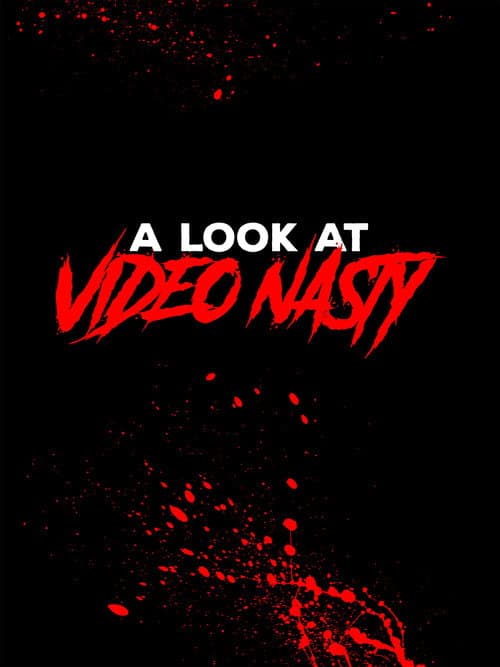 Постер: A Look at Video Nasty