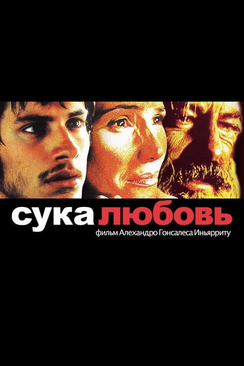 Кадр 2