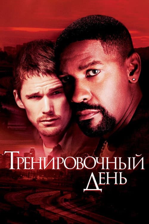 Кадр 9