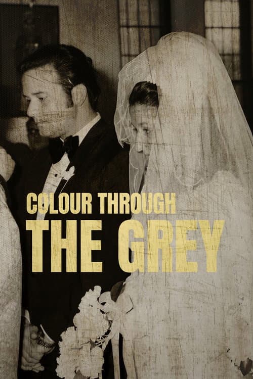 Постер: Colour Through the Grey