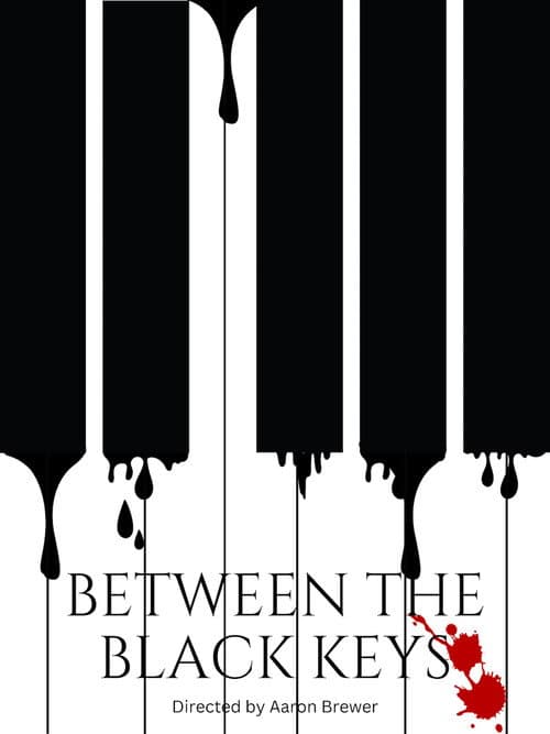 Постер: Between The Black Keys