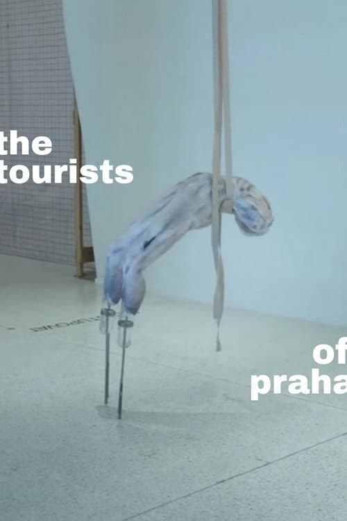 Постер: The Tourists of Praha