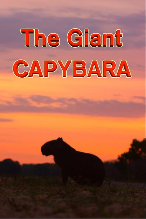 Постер: The Giant Capybara