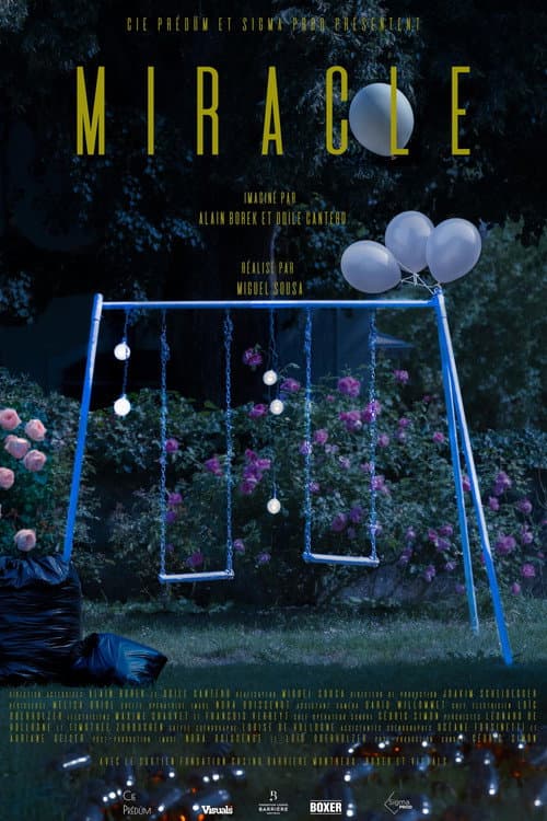 Постер: Miracle