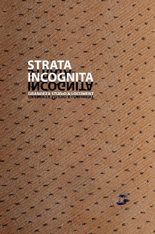 Постер: STRATA INCOGNITA